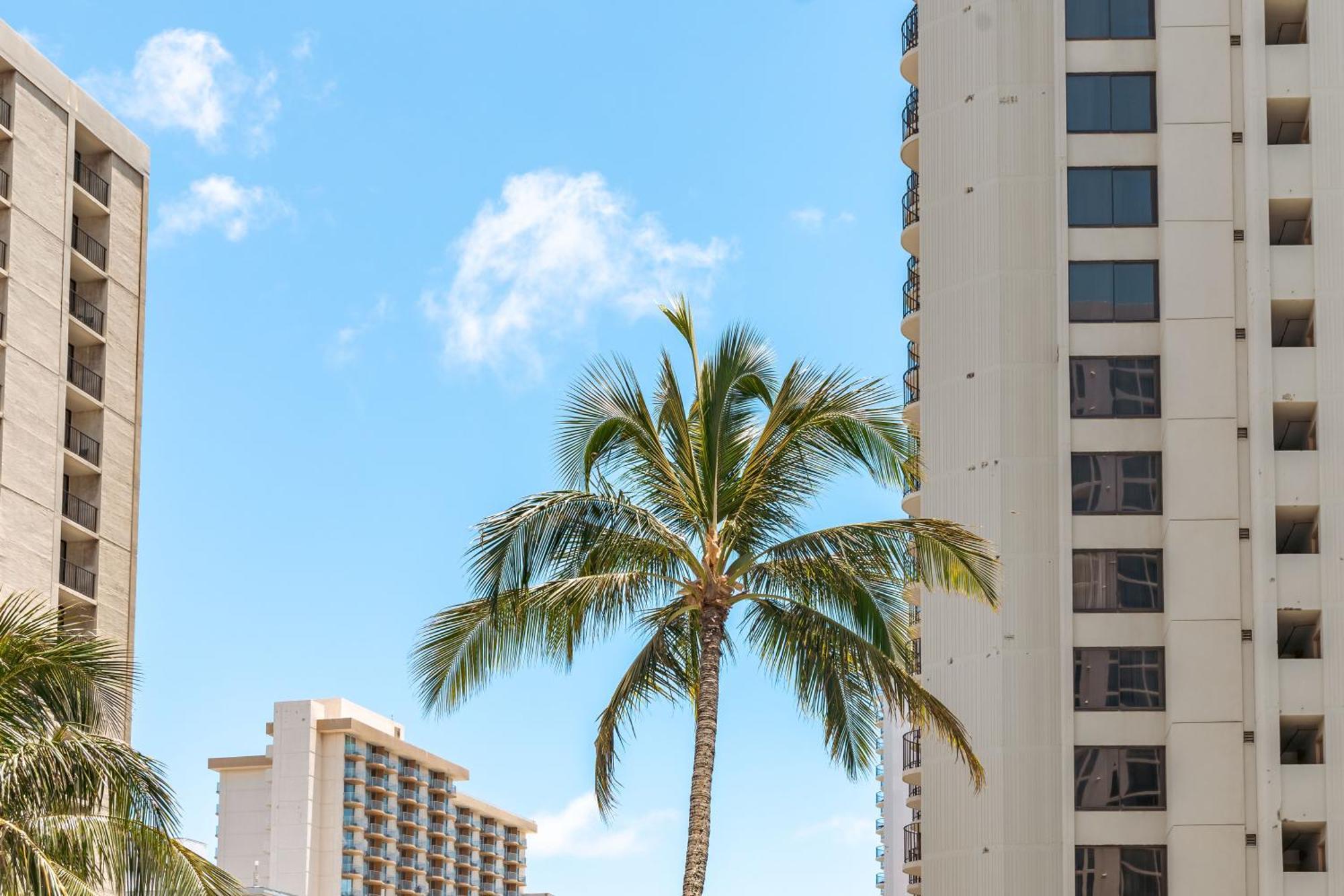 Waikiki Banyan 1Br With Great Ocean Views, Steps To Beach & Parking! Гонолулу Экстерьер фото