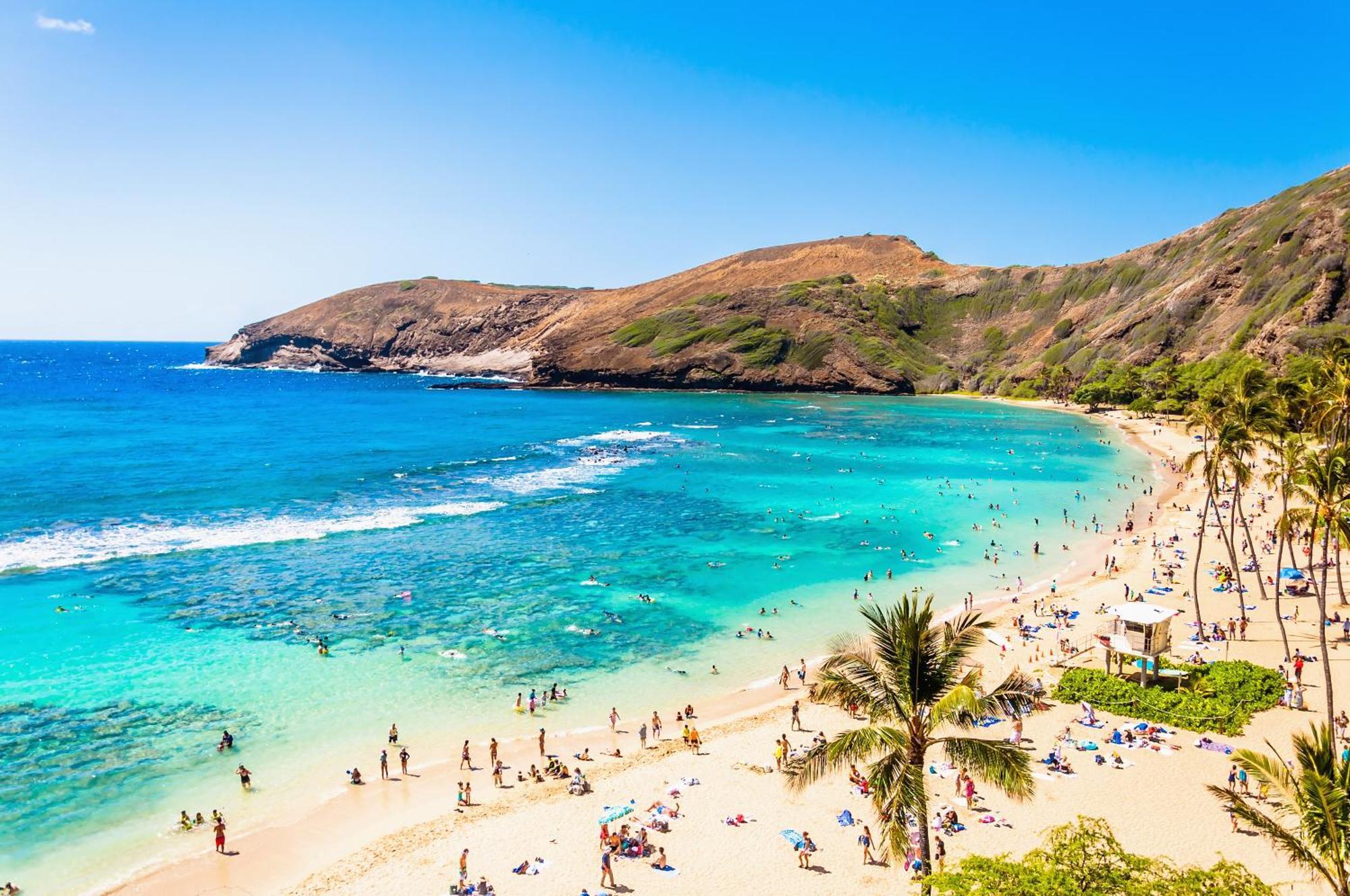 Waikiki Banyan 1Br With Great Ocean Views, Steps To Beach & Parking! Гонолулу Экстерьер фото